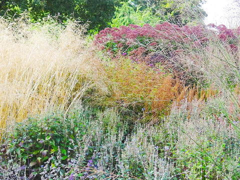 Lawn to Meadow: Contemporary Gardening - Sept. 7th